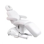 Electrical Facial Treatment Bed - Hot Sale 3 Motors Esthetician Spa Massage Bed