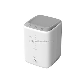 Adjustable Oxygen Generator - Manufacturer Cheap 1-7 Lpm Concentrator Home Use