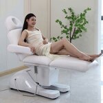 Electrical Facial Treatment Bed - Hot Sale 3 Motors Esthetician Spa Massage Bed