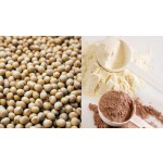 Soy Protein Powder Factory - OEM Supply Supplementary Vanilla-flavored Soy Protein Isolate Powder