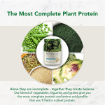 Plant Protein Powder Manufacturer - 100% Organic Plant-based Hydrolyzed Private Label Plant Protein Powder Food