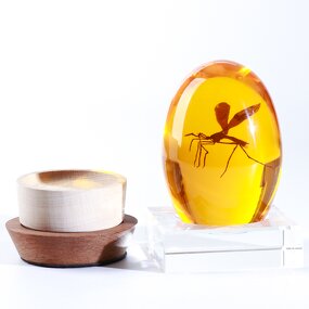 Resin Paperweight - Custom Craft Clear Embedded 3D Mosquito Dried Flower