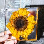 Resin Cube Paperweight - Natural Flower Real Dandelion Sunflower Christmas
