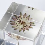 Dried Flower Resin Cube - Custom Specimen Real Insect Collection Paperweight