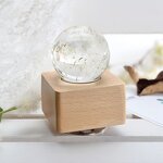Flower Paper Weight - LED Night Light Music Box Home Decor