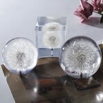 Acrylic Resin Paperweight - Unique 3d Flower Real Dandelion Cube Gift