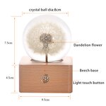 Christmas Resin Ball Speaker - Wood Base Night Light Music Box Decoration