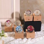 Wireless Music Box - Portable Resin Crystal Ball Dry Flowers Night Light