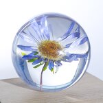 Square Flower Paperweight - Custom 7-9cm Resin Sphere Real Dandelion Cube