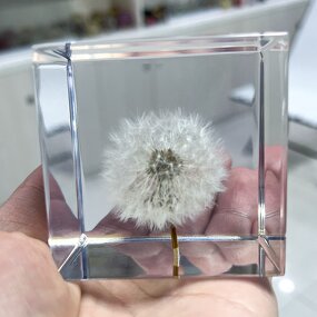 Resin Oil Drop Paperweight - Real Scorpion Cube Crystal Dandelion Flower