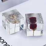 Resin Oil Drop Paperweight - Real Scorpion Cube Crystal Dandelion Flower