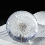 Square Resin Paperweight - Custom 7-9cm Natural Flower Real Dandelion Cube