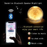 Wireless Music Box - Portable Resin Crystal Ball Dry Flowers Night Light