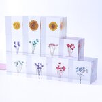 Resin Oil Drop Paperweight - Real Scorpion Cube Crystal Dandelion Flower