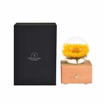 Forever Flower Crystal Ball - 3D Light Paperweight Home Decor