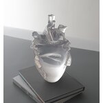 Resin Heart Model - Transparent 3D Anatomical Human Medical Display Tool