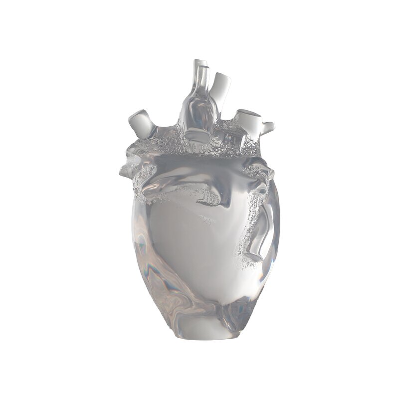 Resin Heart Model - Transparent 3D Anatomical Human Medical Display Tool