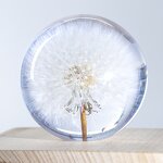 Square Flower Paperweight - Custom 7-9cm Resin Sphere Real Dandelion Cube