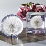 Resin Hemisphere Paperweight - Custom OEM Round Office Luxury Clear Acrylic