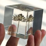 Resin Oil Drop Paperweight - Real Scorpion Cube Crystal Dandelion Flower