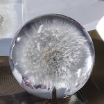 Square Flower Paperweight - Custom 7-9cm Resin Sphere Real Dandelion Cube