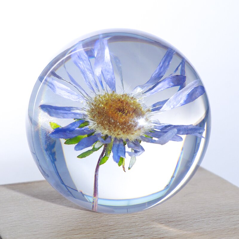 Real Flower Resin Paperweight - Chrysanthemum Cinnabar Stone Dandelion Craft