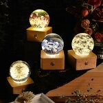 Preserved Flower Speaker - LED Night Light Crystal Acrylic Ball Valentine Gift