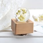 Flower Paper Weight - LED Night Light Music Box Home Decor