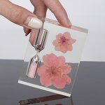 Dried Flower Resin Cube - Custom Specimen Real Insect Collection Paperweight