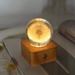 Forever Flower Crystal Ball - 3D Light Paperweight Home Decor