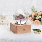 Christmas Resin Ball Speaker - Wood Base Night Light Music Box Decoration