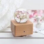 Flower Paper Weight - LED Night Light Music Box Home Decor