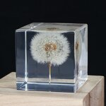 Square Flower Paperweight - Custom 7-9cm Resin Sphere Real Dandelion Cube