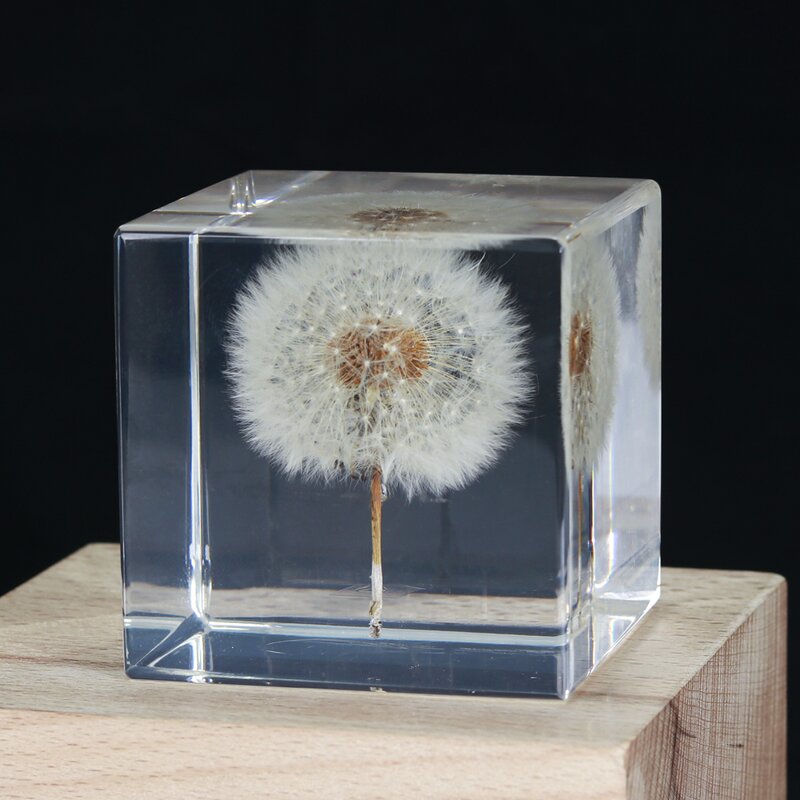 Square Flower Paperweight - Custom 7-9cm Resin Sphere Real Dandelion Cube