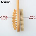 Natural Back Scrub Brush - Bath Supplies High Quality Exfoliating Massage Tool