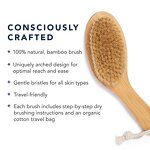 Wooden Exfoliating Brush - Factory Wholesale Custom Logo Dry Body Massage Tool