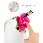 Facial Steamer Manufacturer - Humidifier Aromatherapy Machine for Home Salon Spa