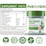 Sea Moss Gummies Supplier - OEM Black Seed Oil Ginger Shilajit Blend