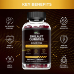 Shilajit Gummies Manufacturer - Natural Berry Flavor Himalayan Supplement