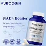 NAD Supplement Factory - Cell Regeneration Cellular Energy Support