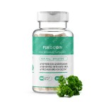 Chlorophyll Pills Manufacturer - OEM Full Body Deodorizer Gut Health Support