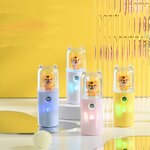 Face Mist Spray Manufacturer - Portable Mini 30 ml Nano Handy Mister Facial Steamer