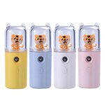 Face Mist Spray Manufacturer - Portable Mini 30 ml Nano Handy Mister Facial Steamer