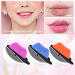Lipstick Manufacturer - Lazy Velvet Matte New Waterproof Long Lasting Nonstick Cup