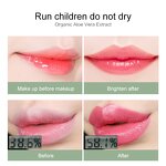 Lip Balm Manufacturer - 3.5g Color Changing Tinted with Aloe Vera Long Lasting