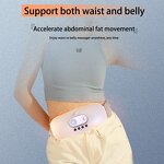 Waist Slimming Massage Belt Manufacturer - Electric Shake for Women's Lower Back Heating