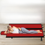 Red Light Therapy Mat - Full Body Standing Type Hands Whitening Fabric Bag Skincare