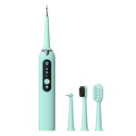 IPX6 Electric Toothbrush - Cleaner Whitening China Manufacturer USB Daily Use Tool