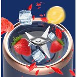 Mini Fruit Juicer - DC Motor Multifunctional Rechargeable Home Car Use USB Power Source