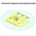 Capacitive Tactile Sensor Manufacturer - High Precision Fast Response Stable Performance Custom